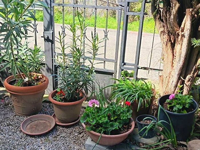 Appartamento quadrilocale in affitto in Piano Del Voglio, San Benedetto Val di Sambro
