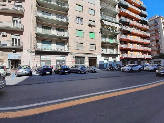 Appartamento con 6 locali in affitto in Via Gabriele DAnnunzio, Province Veneto, Catania