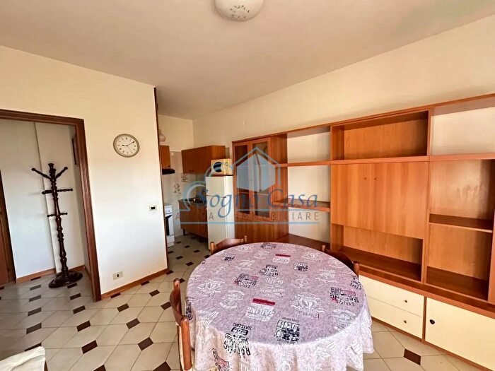 Appartamento bilocale in affitto in Luni