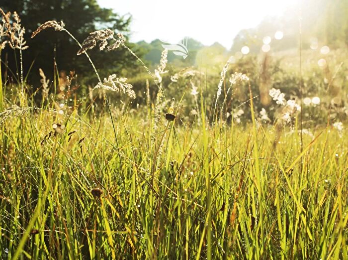 Casa con 6 locali in vendita in VI a Paese, Moso In Passiria