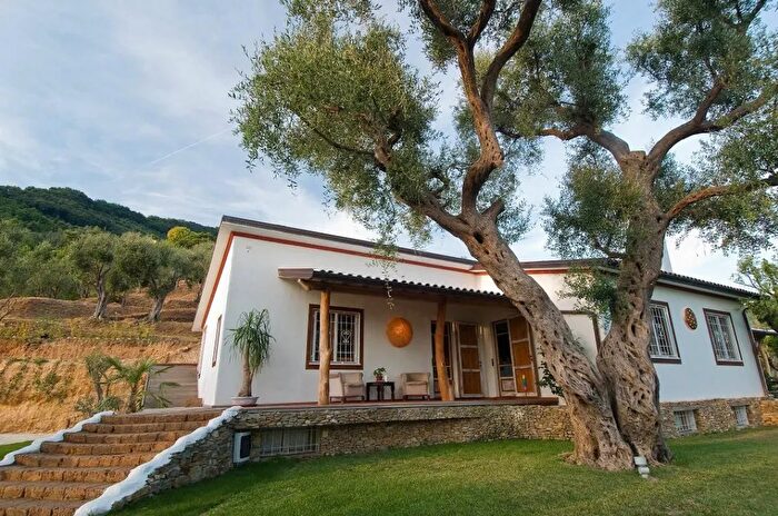 Casa quadrilocale in affitto in Pietrasanta