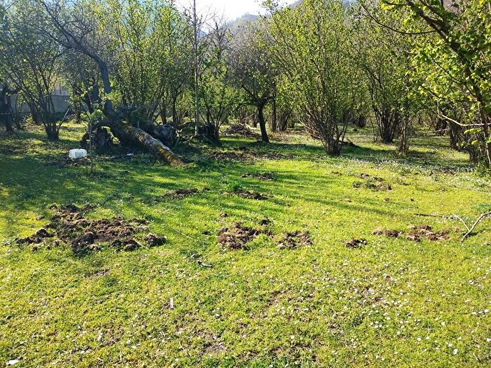 Casa con 10 locali in vendita in Baronissi