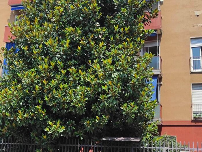Appartamento quadrilocale in affitto in Via Giuba, Cimiano, Milano