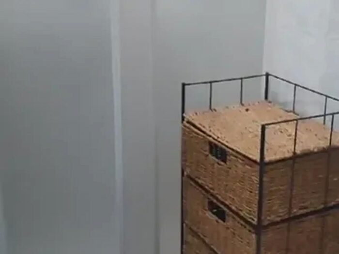 Appartamento bilocale in affitto in Via Gaspare Aselli, Pavia