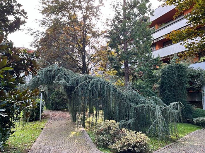 Appartamento bilocale in affitto in Via Marmolada, Centro, Arese