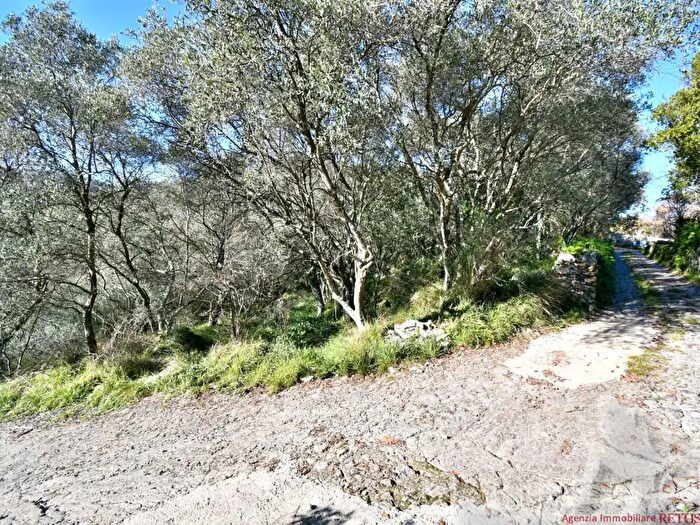 Casa con 20 locali in vendita in Ameglia