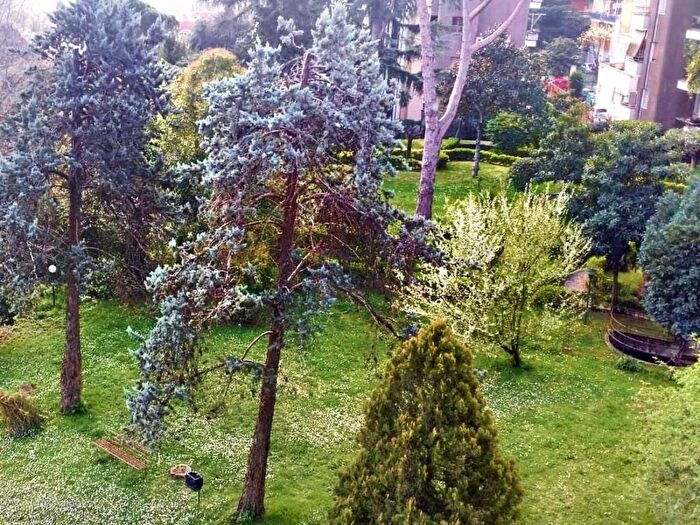 Appartamento bilocale in affitto in Via Manfredi Azzarita, Cassia San Godenzo, Roma