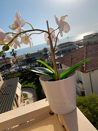 Appartamento quadrilocale in vendita in Viareggio