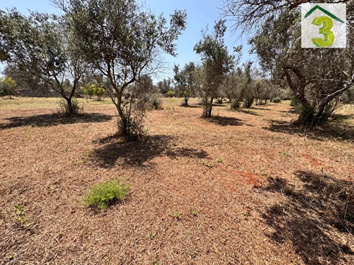 Casa in vendita in Tricase