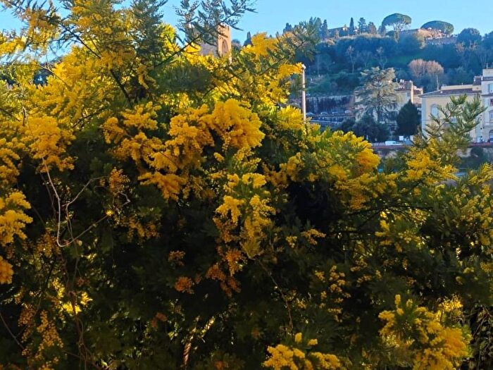 Appartamento con 5 locali in affitto in Lungarno della Zecca Vecchia, Santa Croce, Firenze