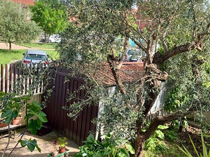 Appartamento con 5 locali in affitto in Ciampino