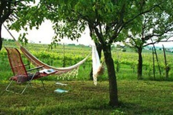 Casa trilocale in vendita in Santa Maria Della Versa