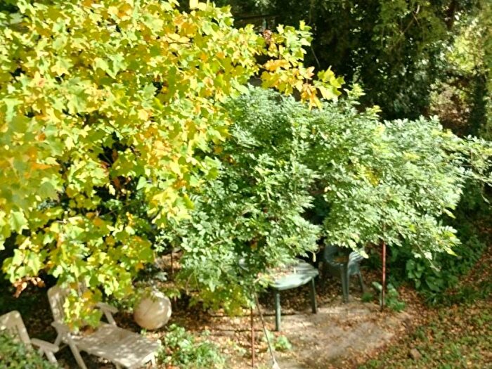 Appartamento con 6 locali in affitto in Viale del Poggio Imperiale, Michelangelo Poggio Imperiale, Firenze