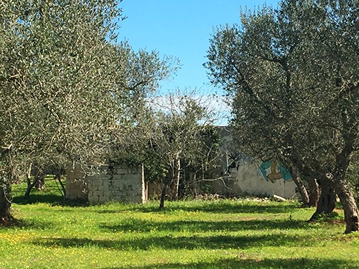 Casa monolocale in vendita in Diso