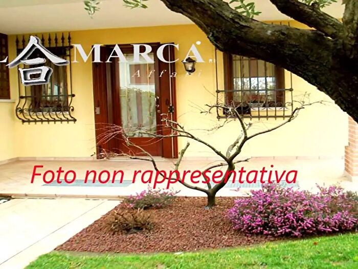 Appartamento con 6 locali in affitto in Pieve del Grappa