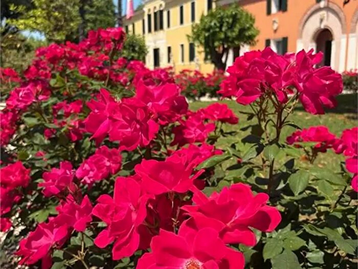 Casa in vendita in Castelfranco Veneto