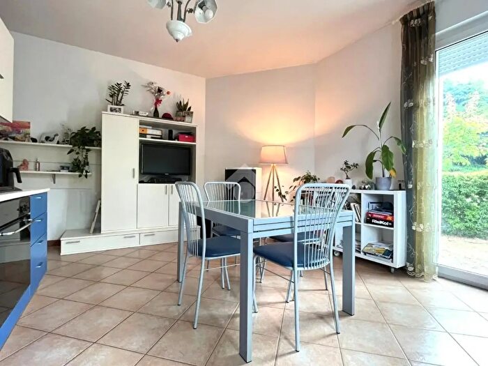 Appartamento trilocale in affitto in Cassola