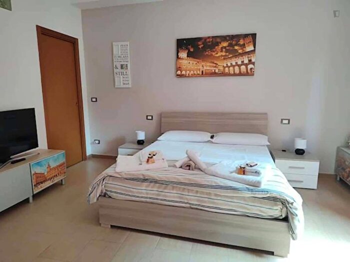 Appartamento in affitto in Viale Carlo Berti Pichat, San Donato, Bologna