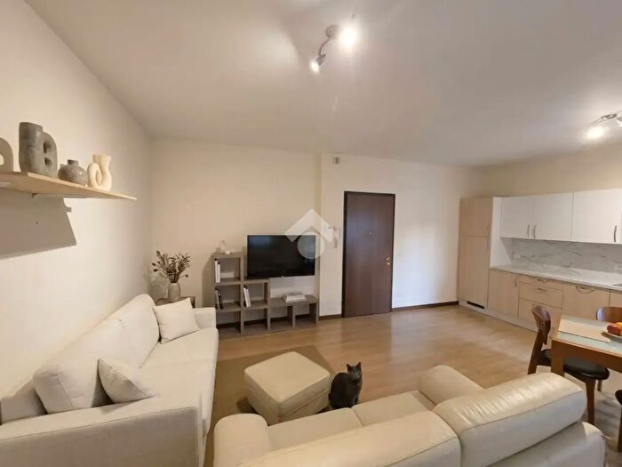 Appartamento bilocale in vendita in Viale Viareggio, Spinea