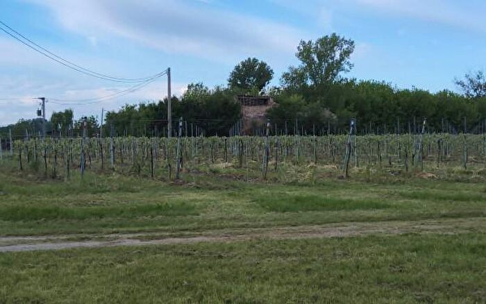 Casa con 6 locali in vendita in Via Viazza, San Prospero