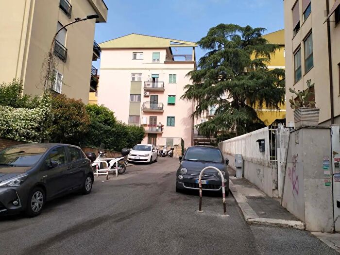 Appartamento monolocale in affitto in Via Maddalena Raineri, Roma