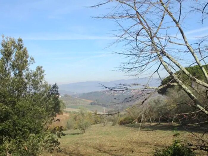 Appartamento trilocale in affitto in Impruneta