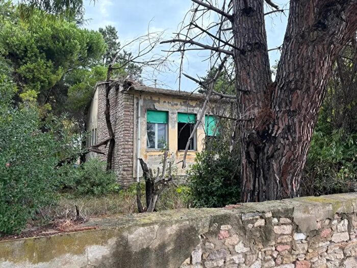 Casa quadrilocale in vendita in Bibbona