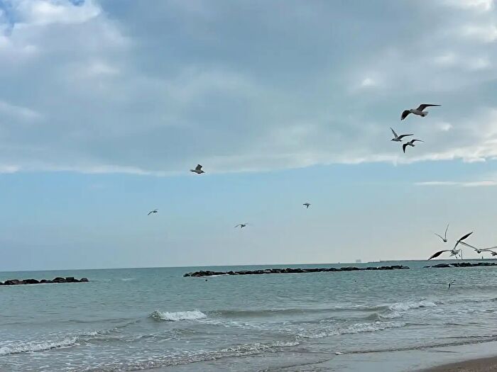 Appartamento con 5 locali in vendita in Via Regina Elena, Civitanova Marche