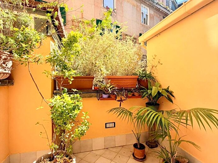 Appartamento quadrilocale in affitto in Via Angelo Brunetti, Piazza del Popolo, Roma