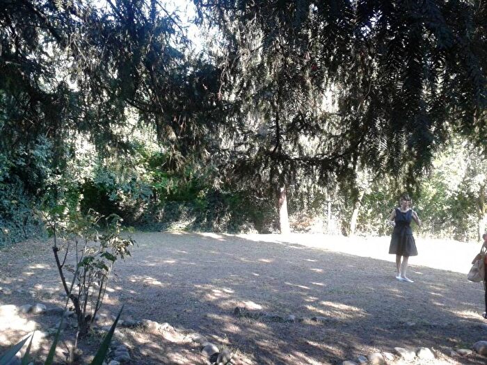 Appartamento trilocale in affitto in San Nicolò, Rottofreno