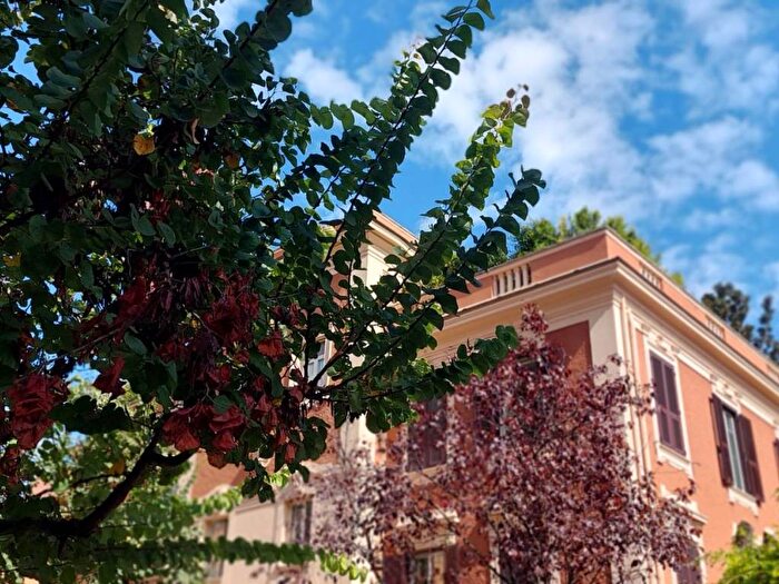 Appartamento con 5 locali in affitto in Via Tommaso Salvini, Parioli, Roma