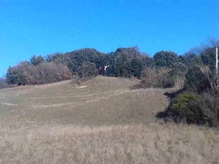 Case in Vendita e in Affitto - 1
