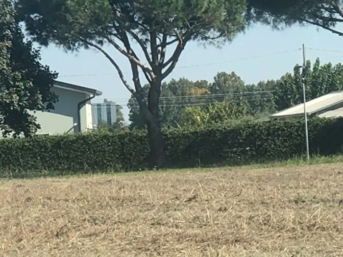 Casa in vendita in Via Roma, Monselice