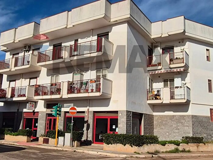 Appartamento con 6 locali in affitto in Bitritto