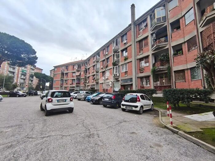 Appartamento quadrilocale in vendita in Via Pietro Romano, Roma