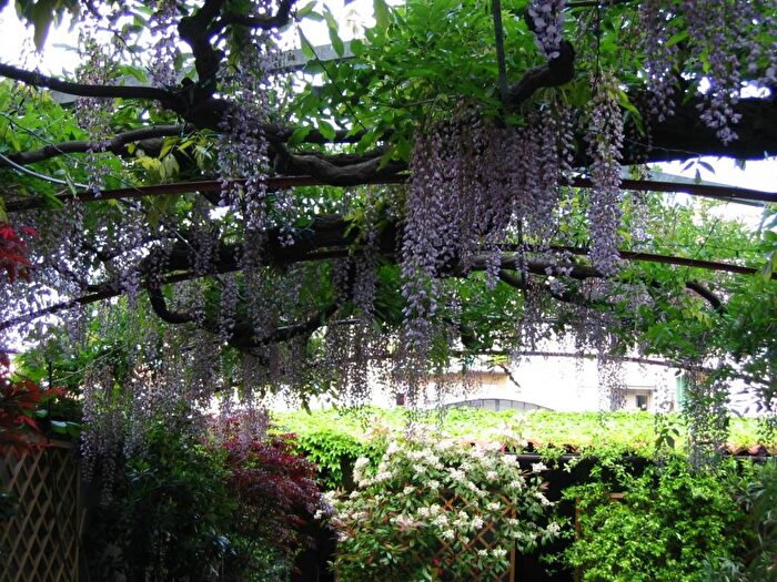 Appartamento quadrilocale in affitto in Via Friuli, Porta Romana Medaglie dOro, Milano