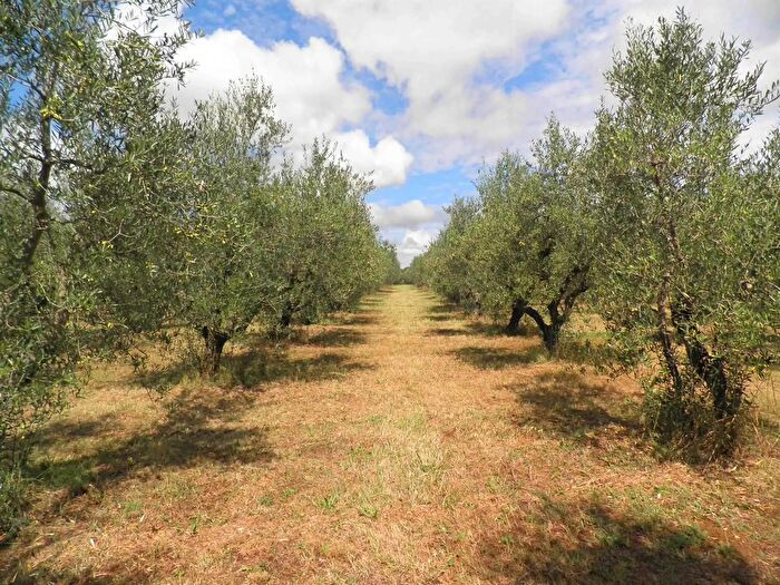 Casa con 16 locali in vendita in Rosignano Marittimo