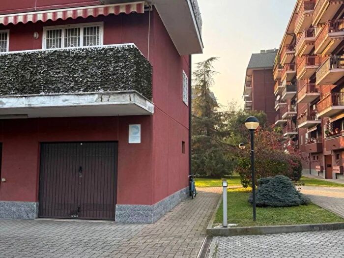 Appartamento trilocale in affitto in Assago