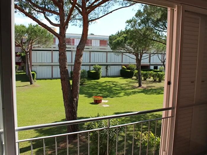 Appartamento bilocale in vendita in Bibbona