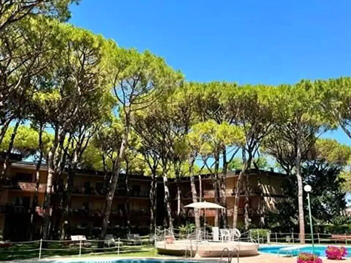 Appartamento monolocale in affitto in Jesolo