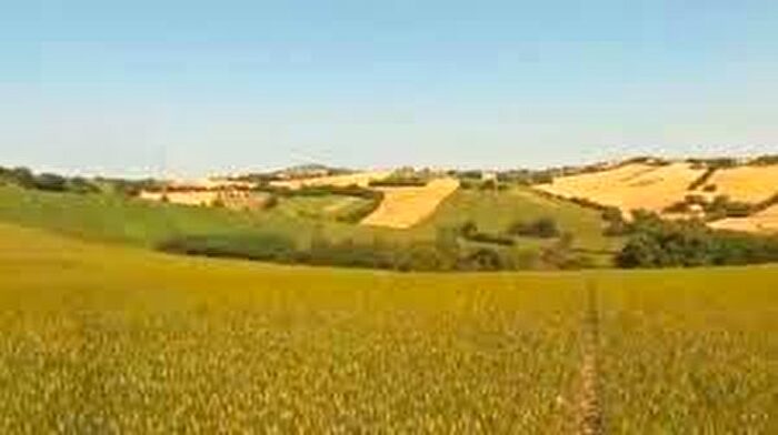 Appartamento quadrilocale in vendita in Agugliano