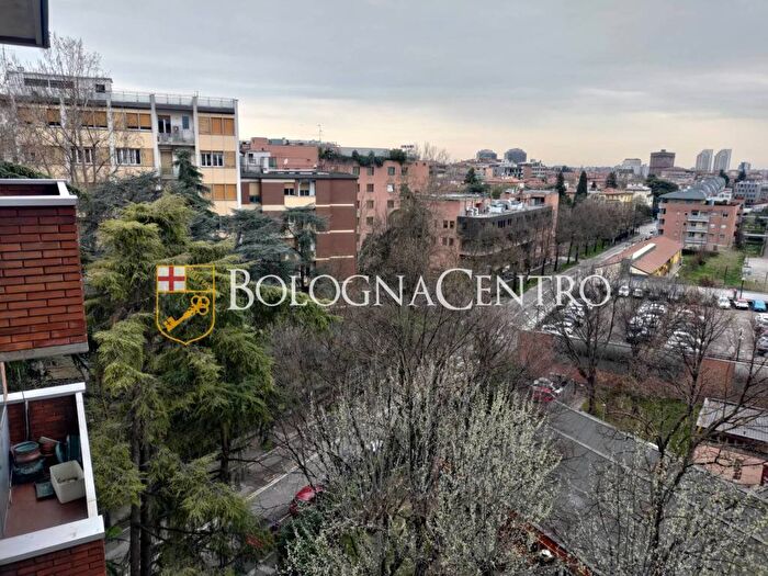 Appartamento con 5 locali in affitto in Via Giovanna Zaccherini Alvisi, Massarenti, Bologna