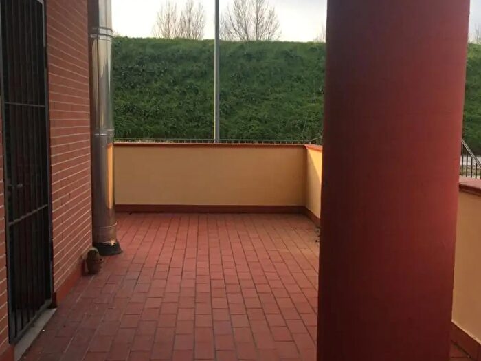 Appartamento quadrilocale in affitto in Pisa