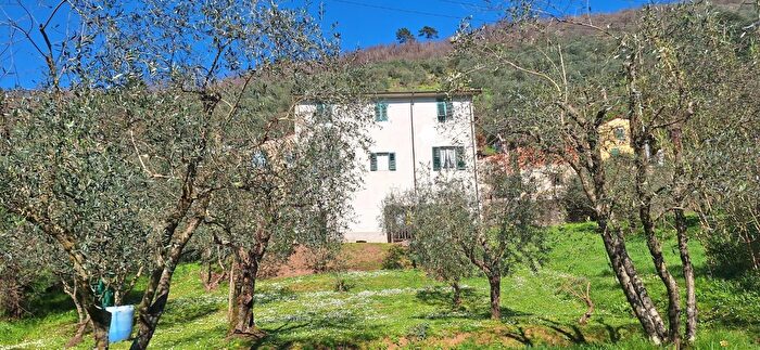Appartamento con 5 locali in vendita in Borgo A Mozzano