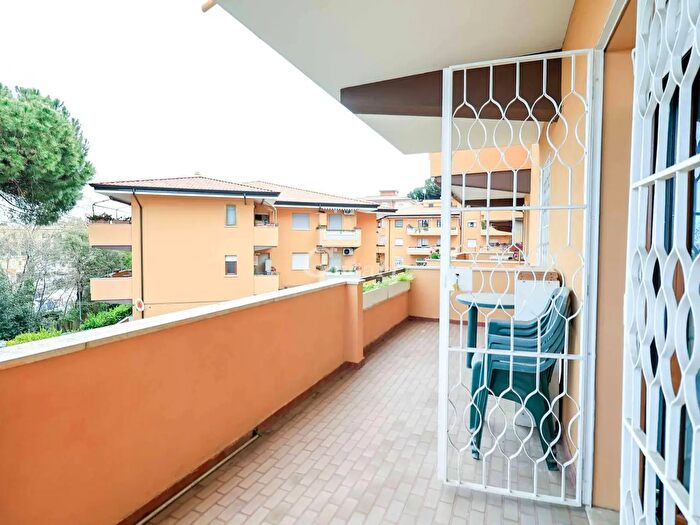 Appartamento trilocale in affitto in Via MaffeoPantaleoni, Frascati