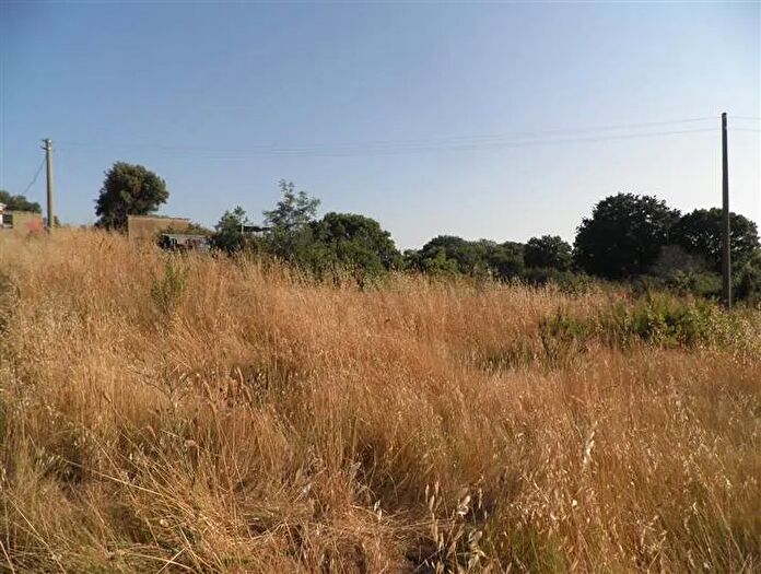 Casa in vendita in Cecina