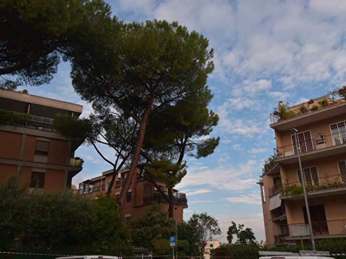 Casa monolocale in affitto in Largo Luigi Amedeo Melegari, Fleming, Roma