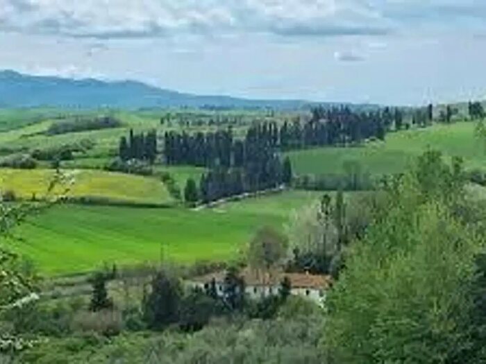 Appartamento quadrilocale in vendita in Fauglia