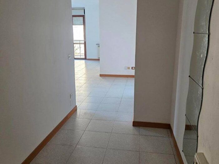 Appartamento quadrilocale in affitto in Spalto Borgoglio, Borgo Rovereto Piscina, Alessandria