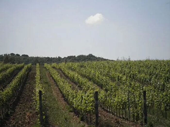 Casa in vendita in Montecatini Val Di Cecina